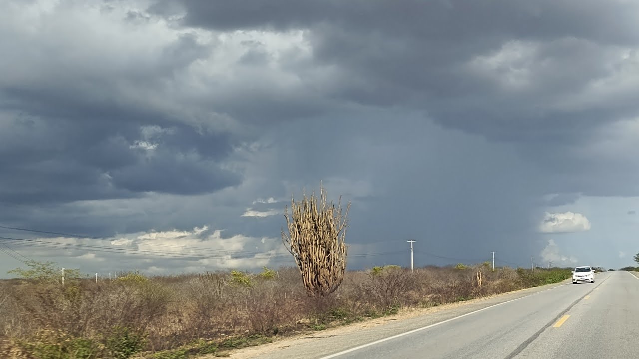 Live na estrada