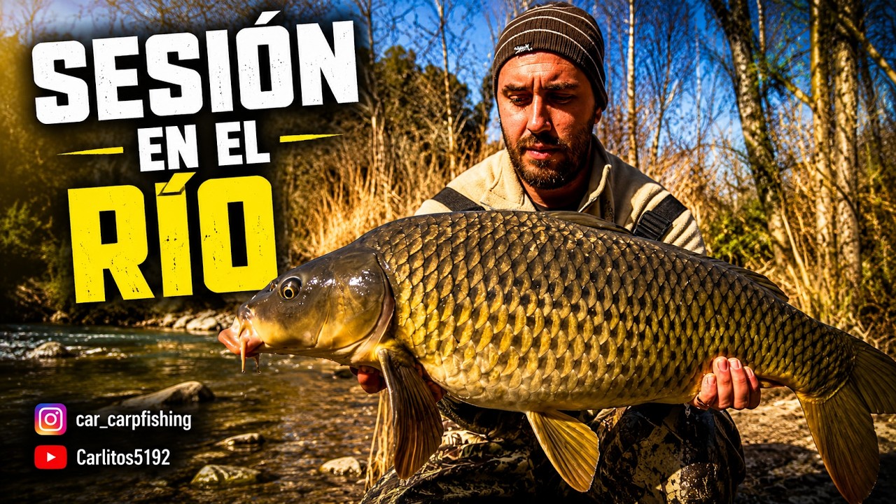 Carpfishing En RíoTajo