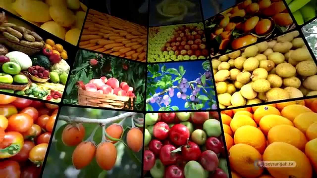 Rahman isminin manası ve kainattaki tecellileri