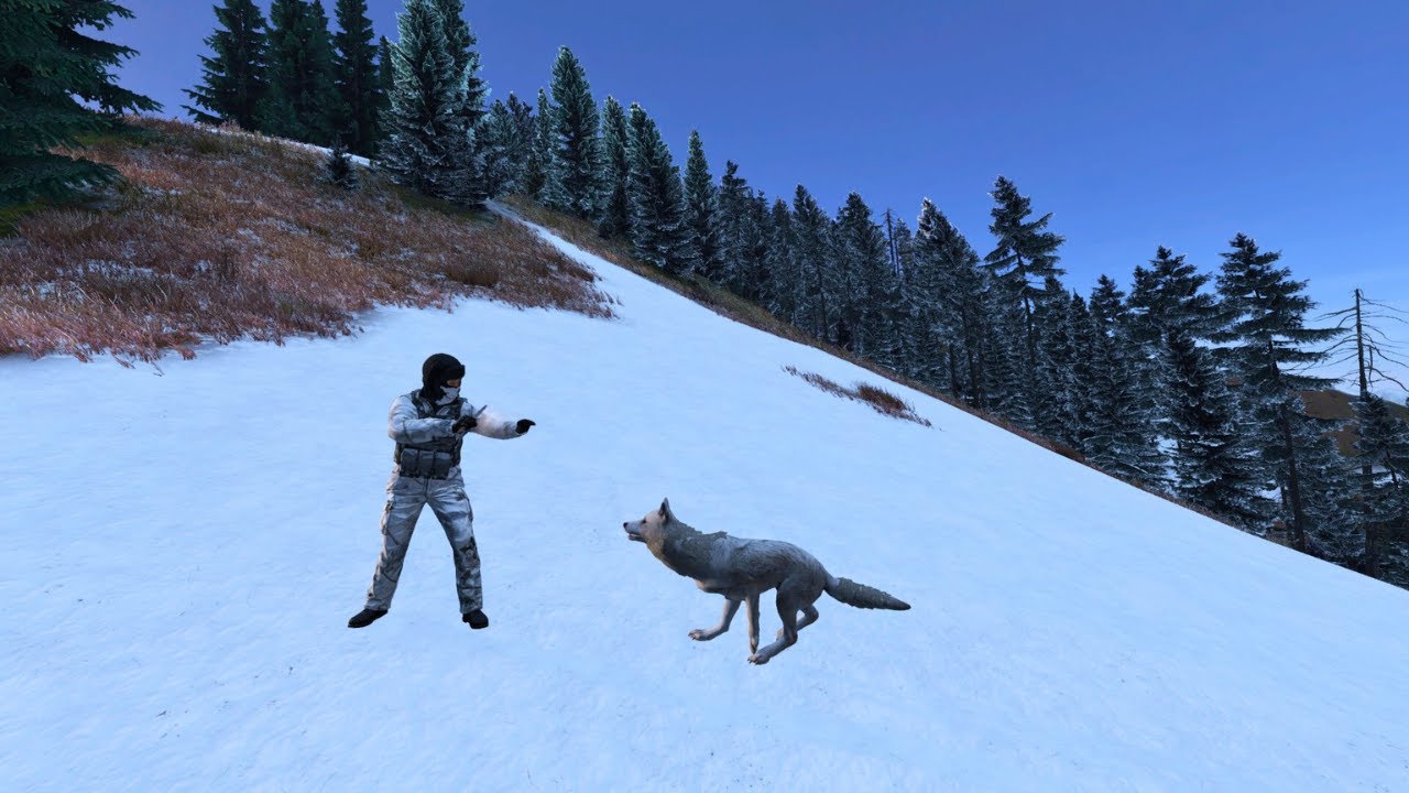 DayZ How To Make A Wolf Head Dress!