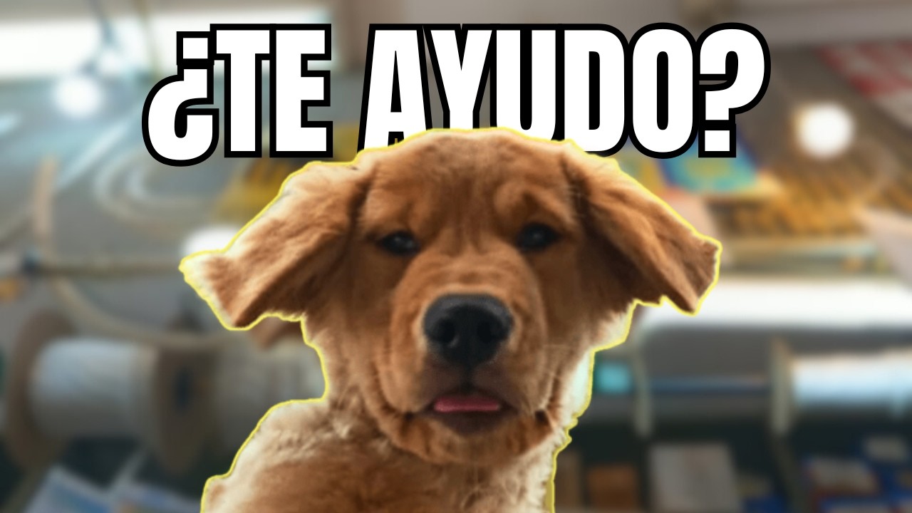 Me llevo a mi Golden al trabajo cada día… y ESTO pasa