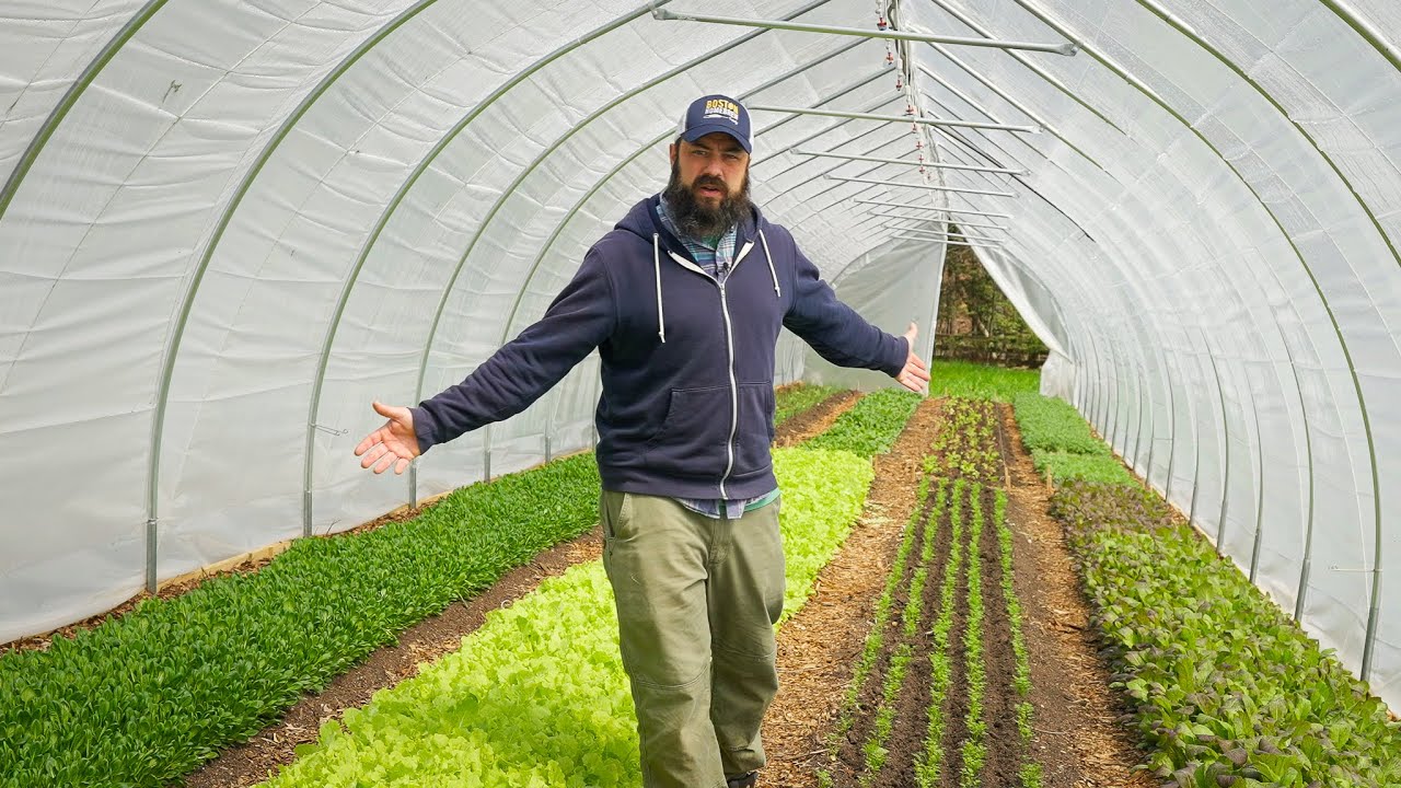 Make Money From Your Farm Or Homestead