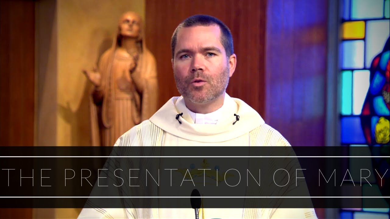 The Presentation of Mary | Homily: Father Timothy Hynes