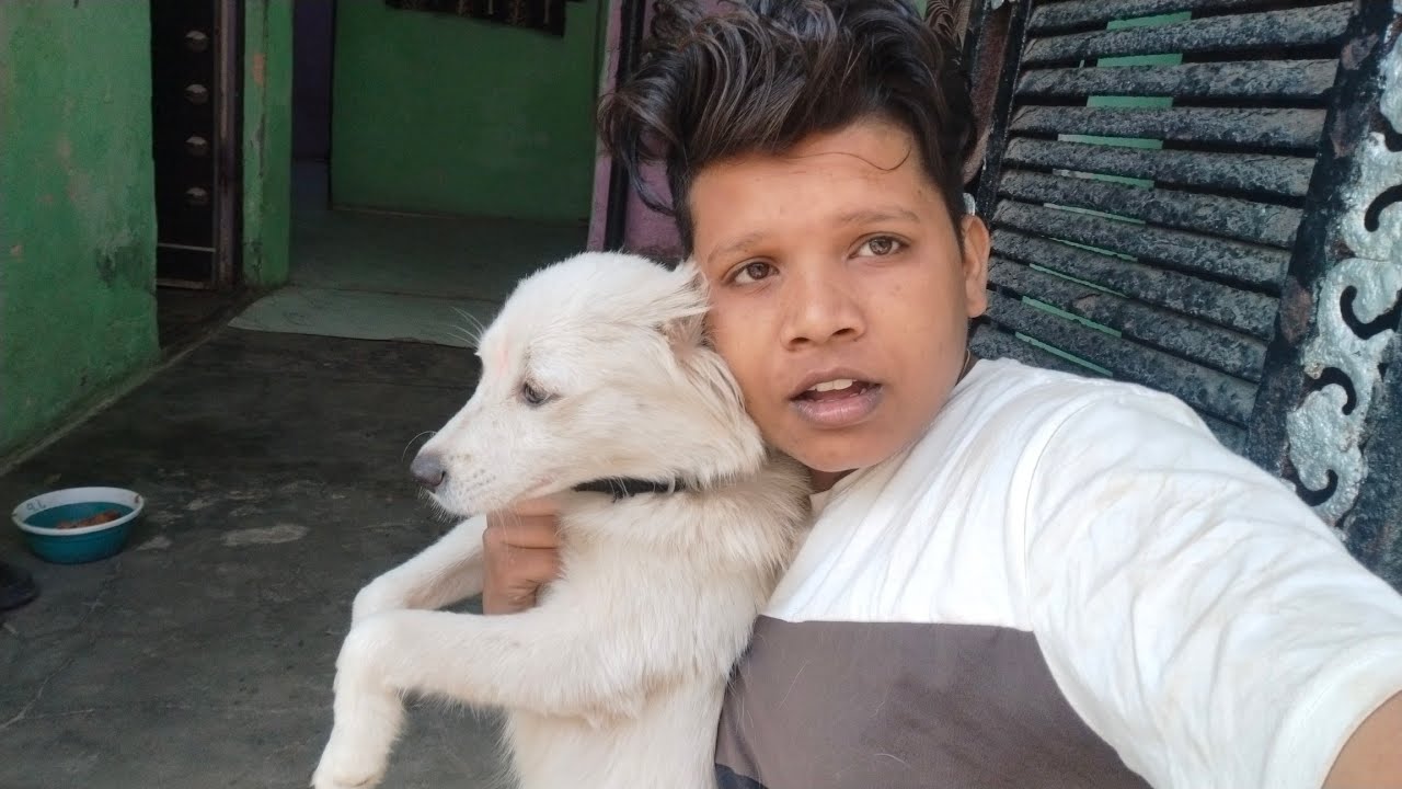   Auli ko ghar☺️ par le aaya bapas😂