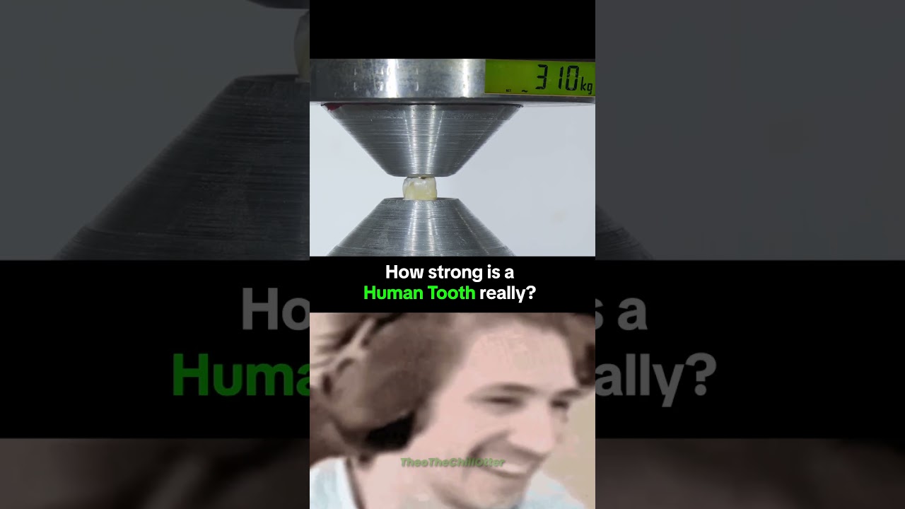 How Strong Is a Human Tooth? Hydraulic Press vs. Tooth! 🦷💥