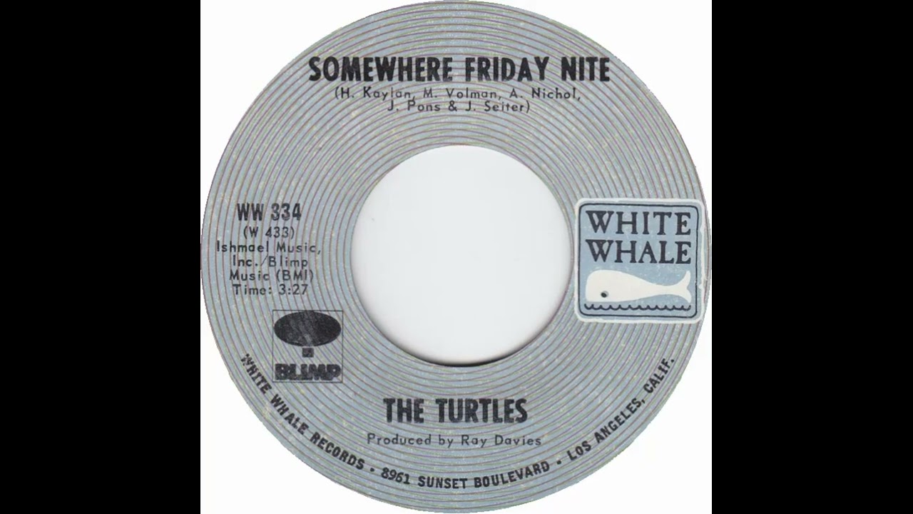 (20b) Turtles - Somewhere Friday Nite