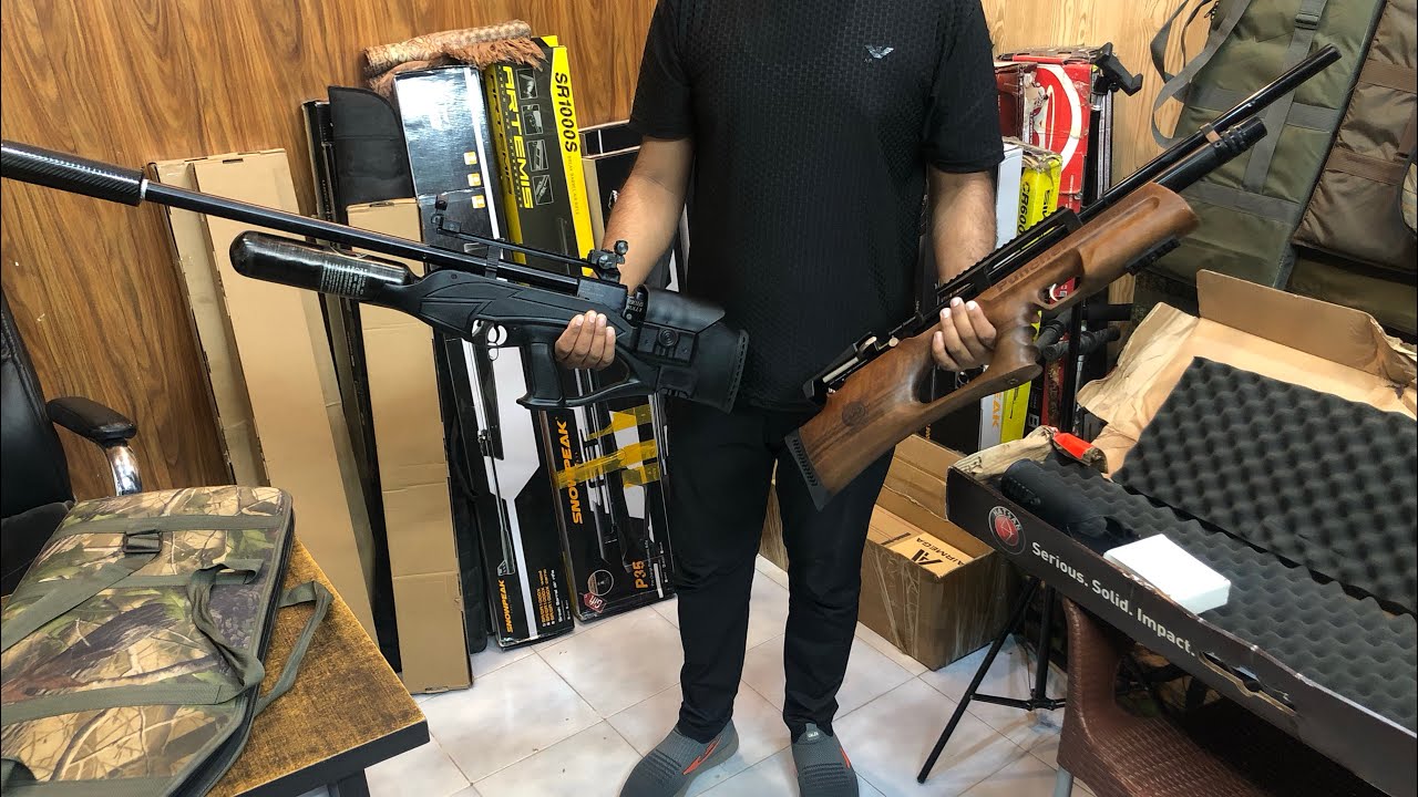Hatsan hercules Bully .25 and  Kral punchter breaker .25