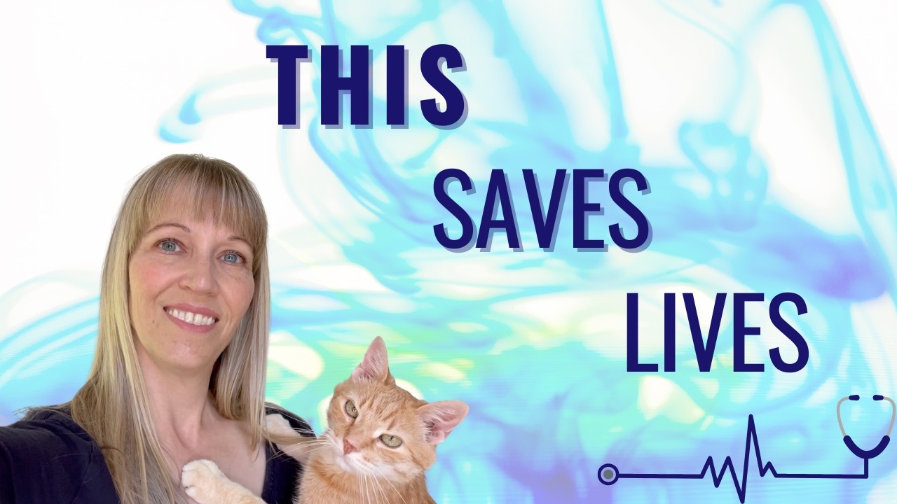 Why This Feeding Tube Can Save Your Cat