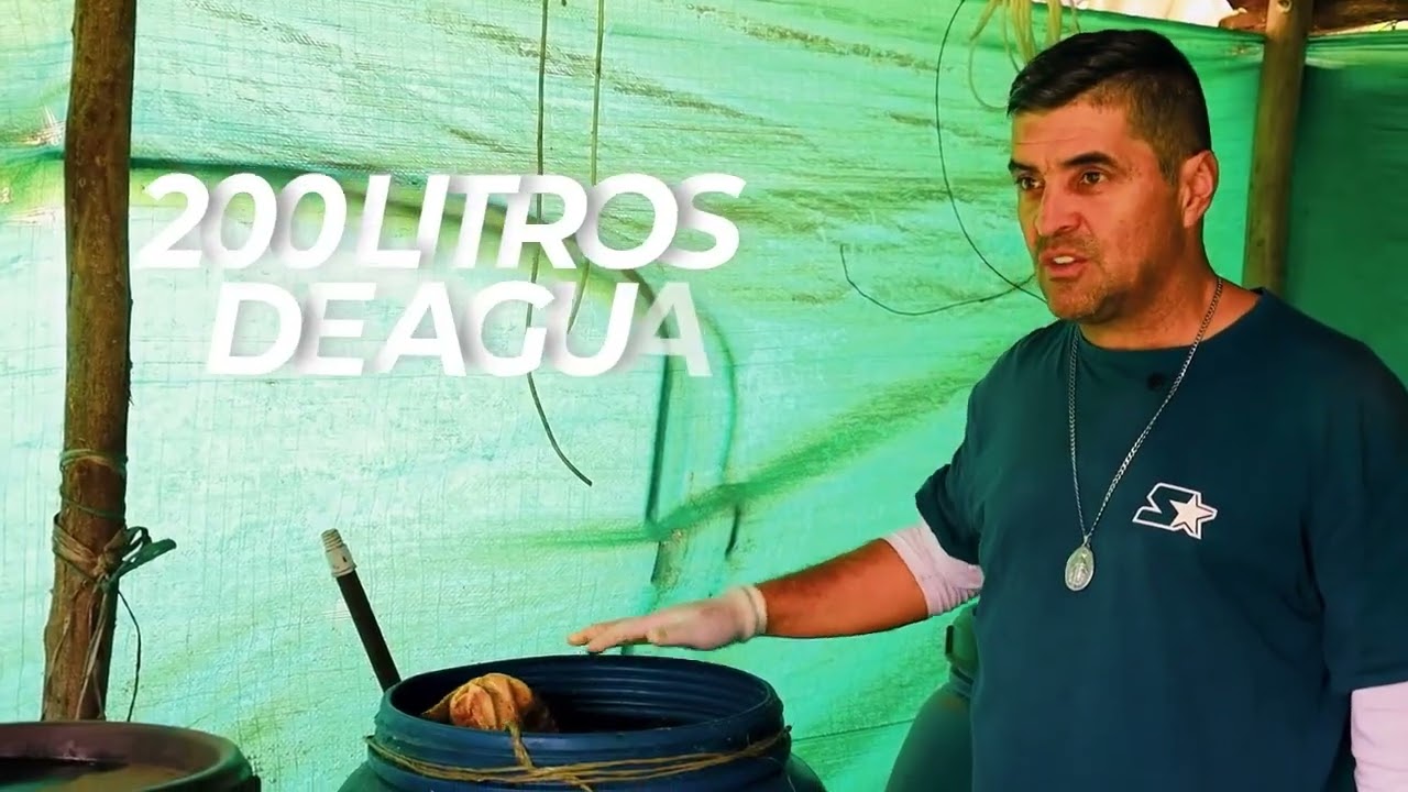 Producción audiovisual Uniminuto: Microorganismos de Montaña