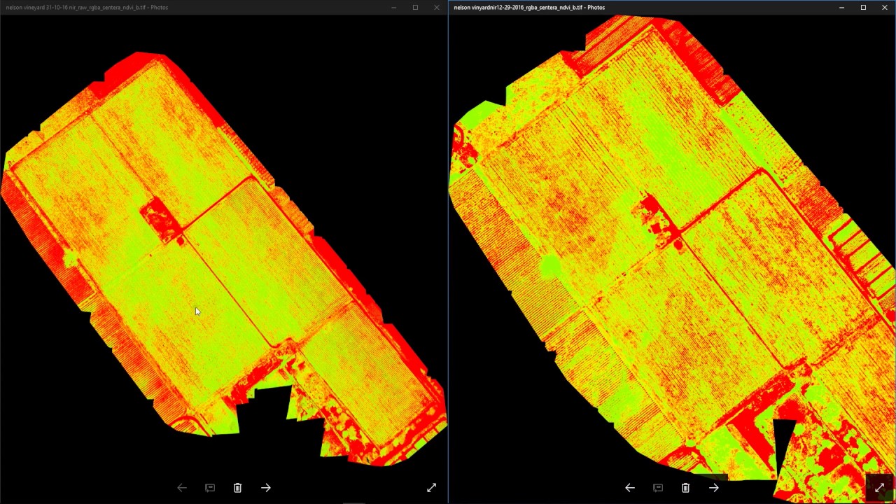 NDVI comparison drone survey 2 with a Sentera NIR Sensor drone - DroneMate Agriculture