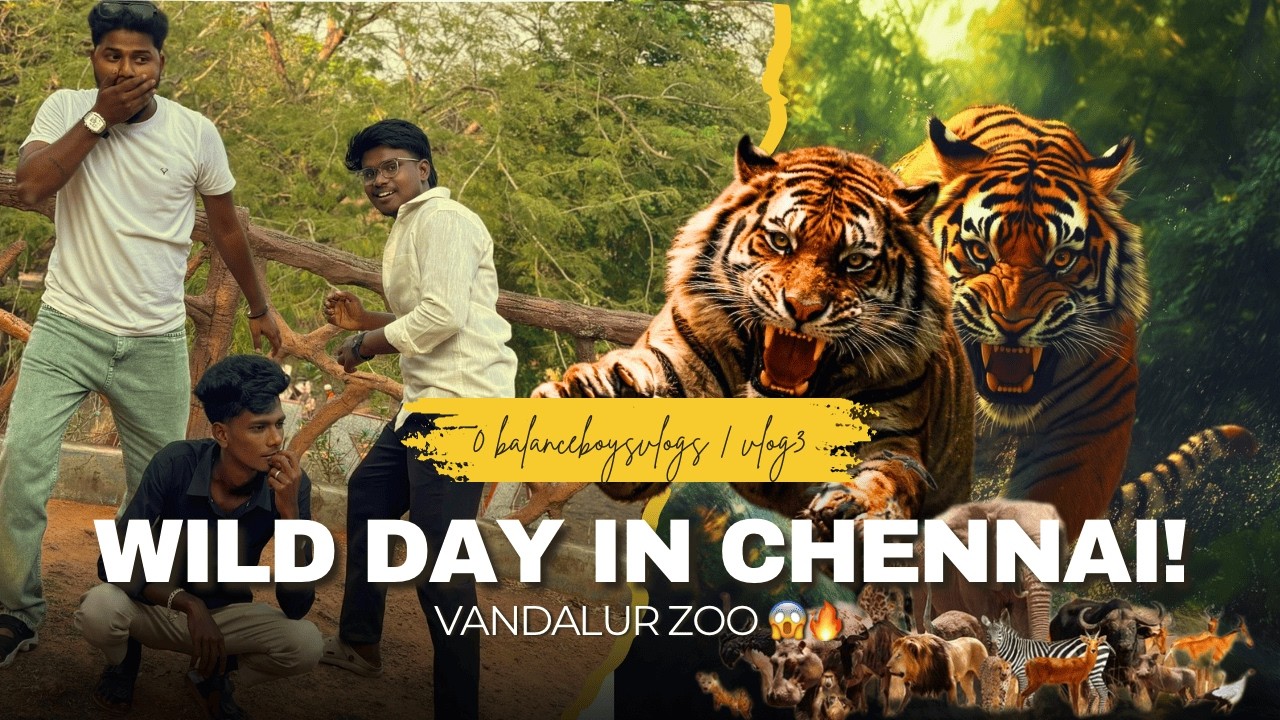 A Wild Day at Vandalur Zoo 🐘🦁 | Endless Walking 😂 |  0balanceboysvlogs