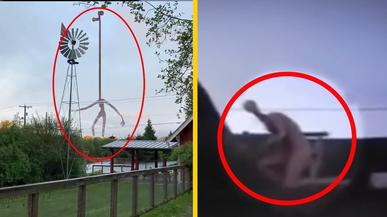 20 Läskigaste Varelserna Fångade På Kamera