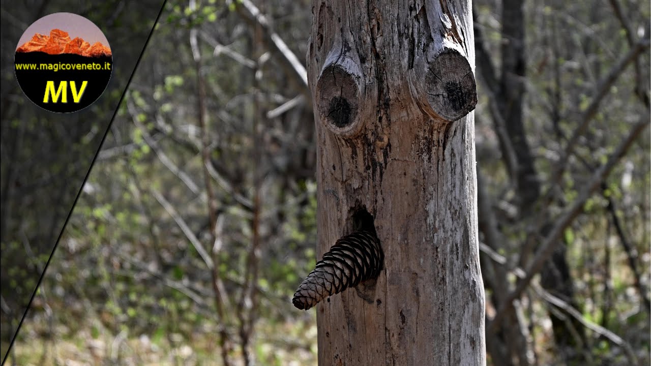 Sentiero artistico-naturalistico Laghetti della Rimonta a Bardies