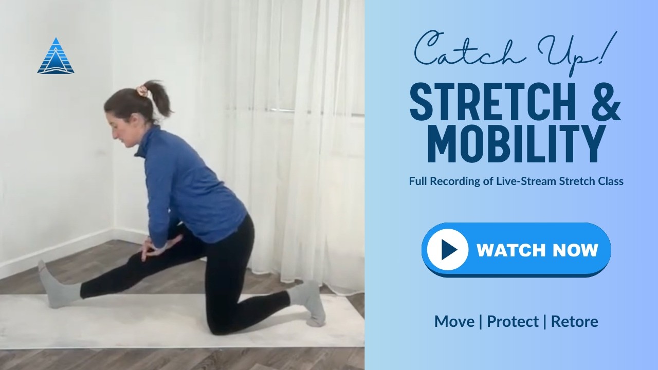 Gentle Full Body Stretch | Lower Back & Hamstring Release | Live Recording