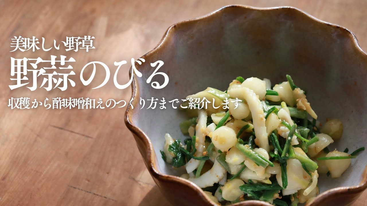 野草のびるの収穫＆酢味噌和え