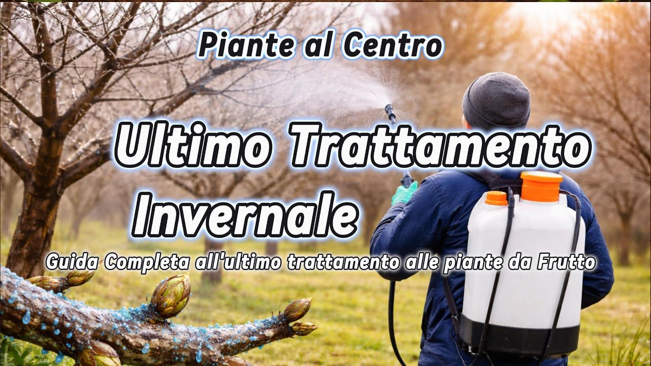 Ultimo trattamento piante da frutto a febbraio: guida pratica e completa