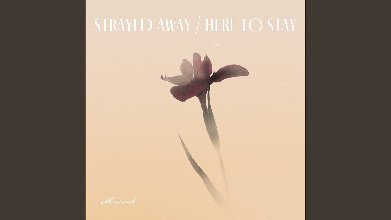 Strayed Away, Here To Stay
