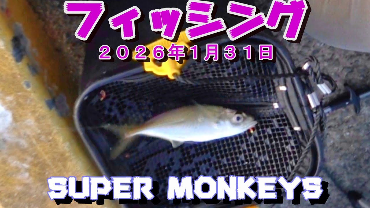 20260131愛媛県宇和島市築地　釣り　アジ釣り