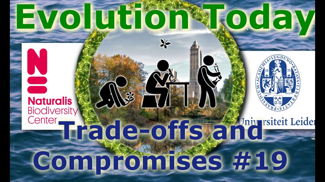 Evolution Today - 19. Trade-offs and Compromises