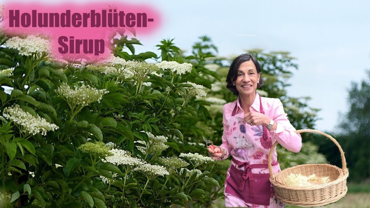 Holunderblüten-Sirup | Holunder-Sirup Rezept OHNE Zitronensäure - mit Dagmar von Cramm