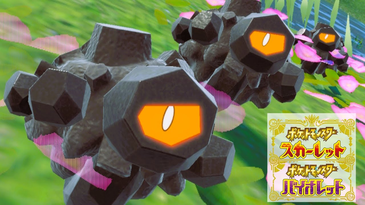 タンドン６匹に囲まれて癒されピクニック【ポケモンSV】