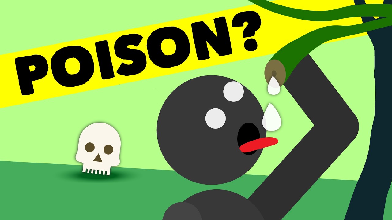THESE Are The Most Dangerous Jungle Survival Myths! DEBUNKED