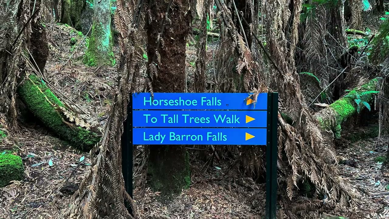 RUSSELL FALLS TASMANIA