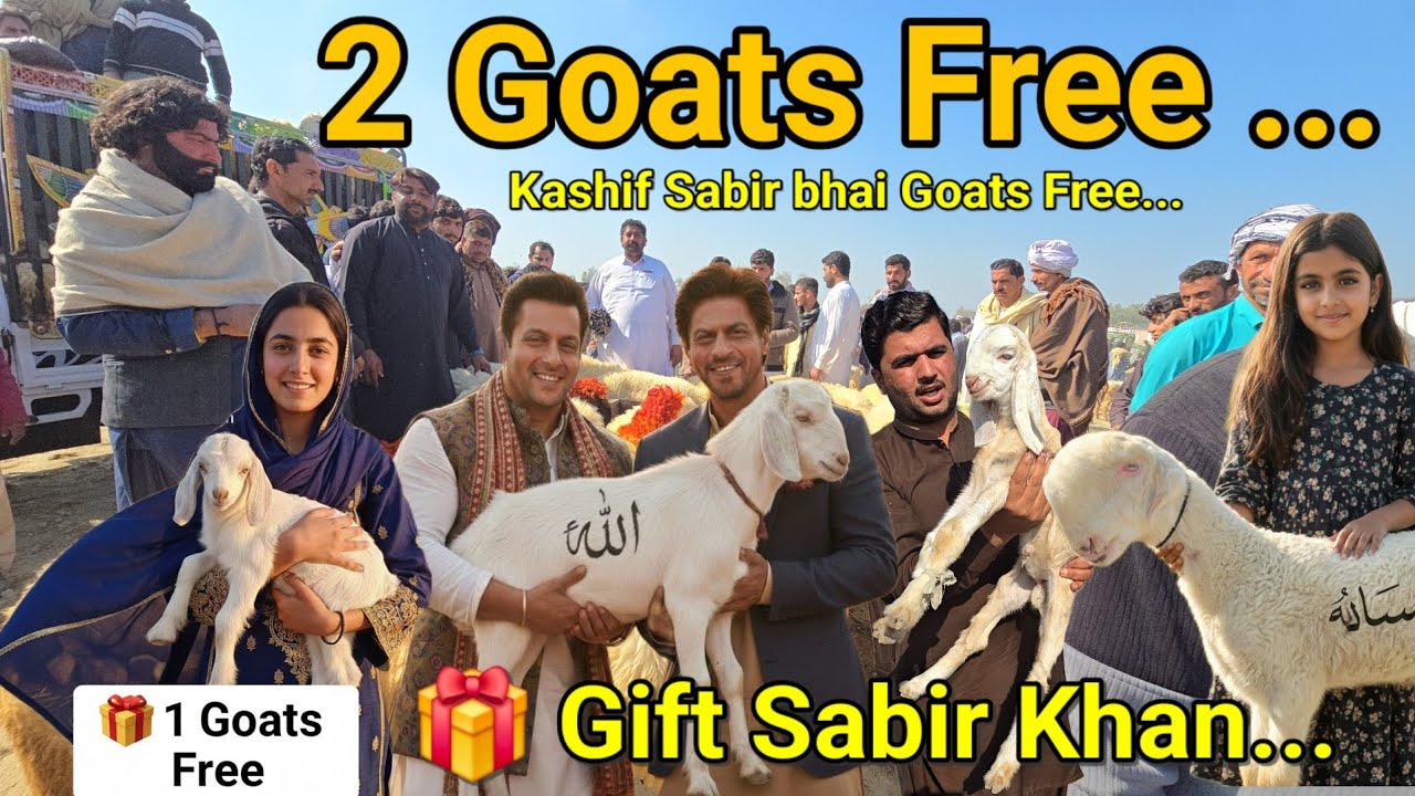 Saturday, 31 January 2026 2 Goats Free 🎁 Gift Sabir Goat Farm Bakra Mandi...