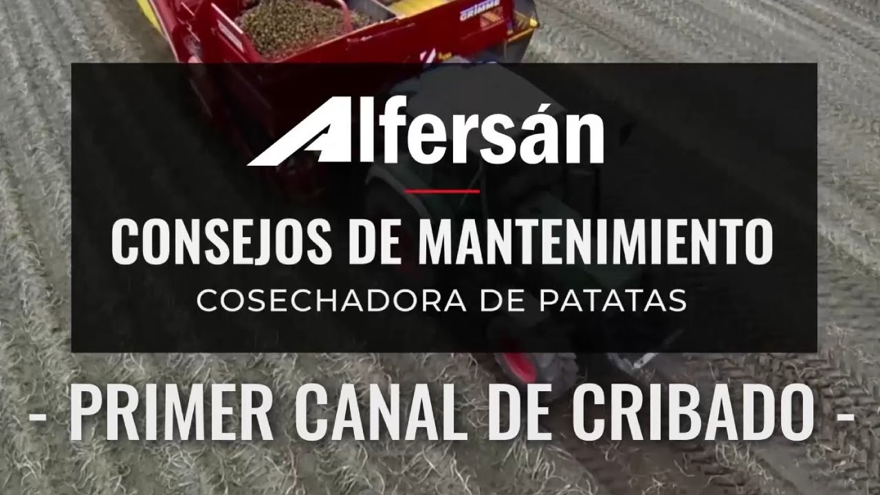Mantenimiento primer canal de cribado cosechadora Grimme | Alfersán Maquinaria Agrícola