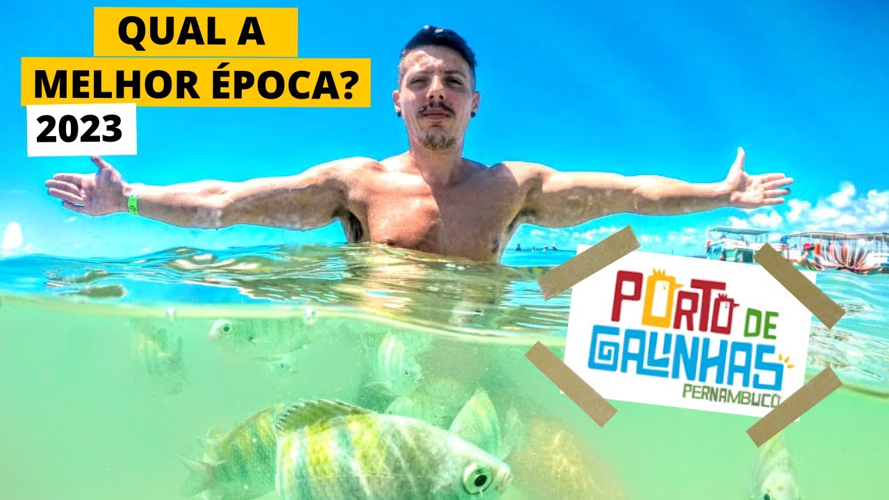 QUAL O MELHOR M&Ecirc;S PARA VISITAR PORTO DE GALINHAS?