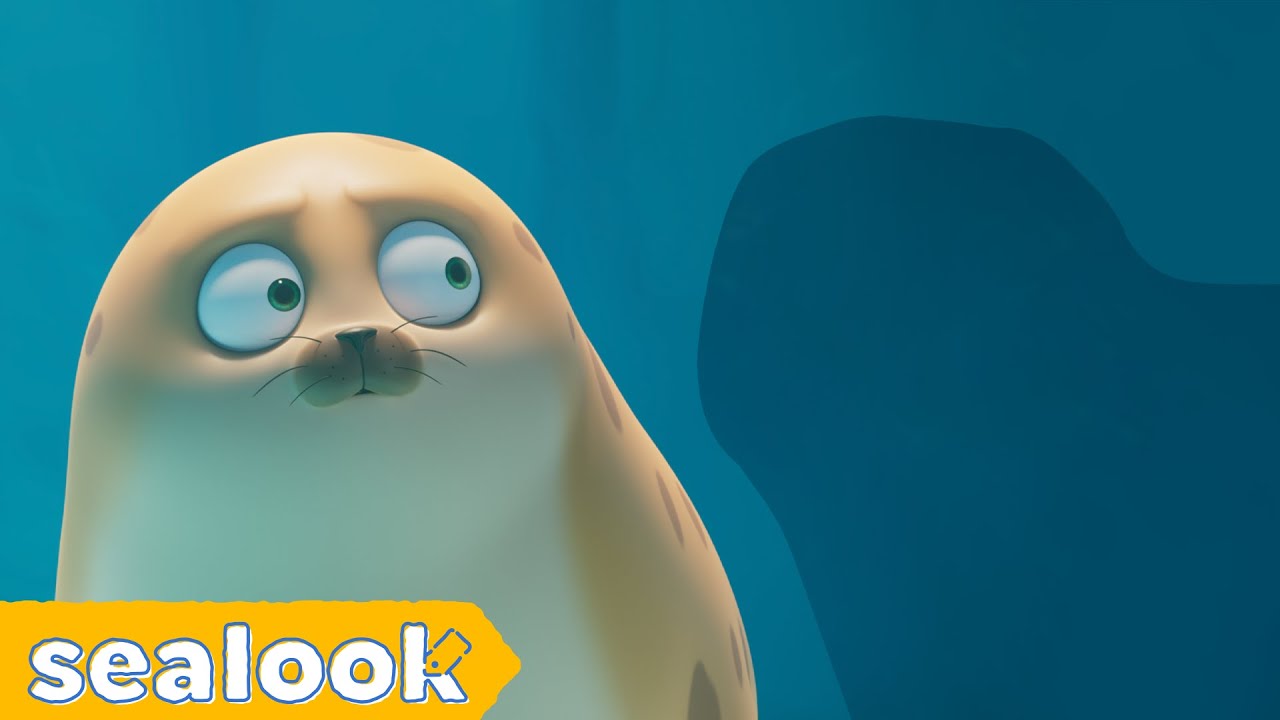 Unexpected HarmonyㅣSEALOOKㅣEP.51
