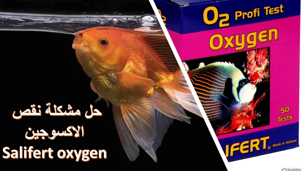 مشكله نقص الاكسوجين, طريقه اكتشافها , الاسباب , حلول - Oxygen test Salifert