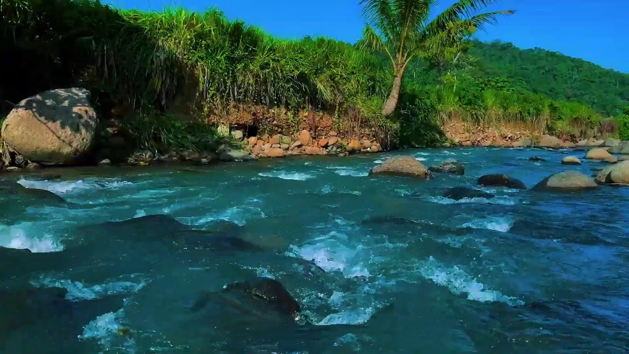 River Sounds for Deep Sleep – Tropical River White Noise to Knock You Out Fast