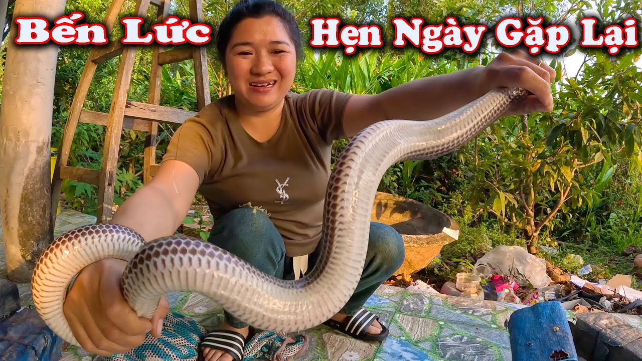 Ngày Về ? Một Mình Săn Rắn Lớn # CSBR # 453