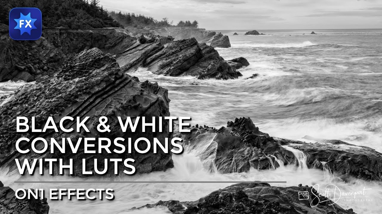 Use LUTs In ON1 Effects For Your Black & White Conversions