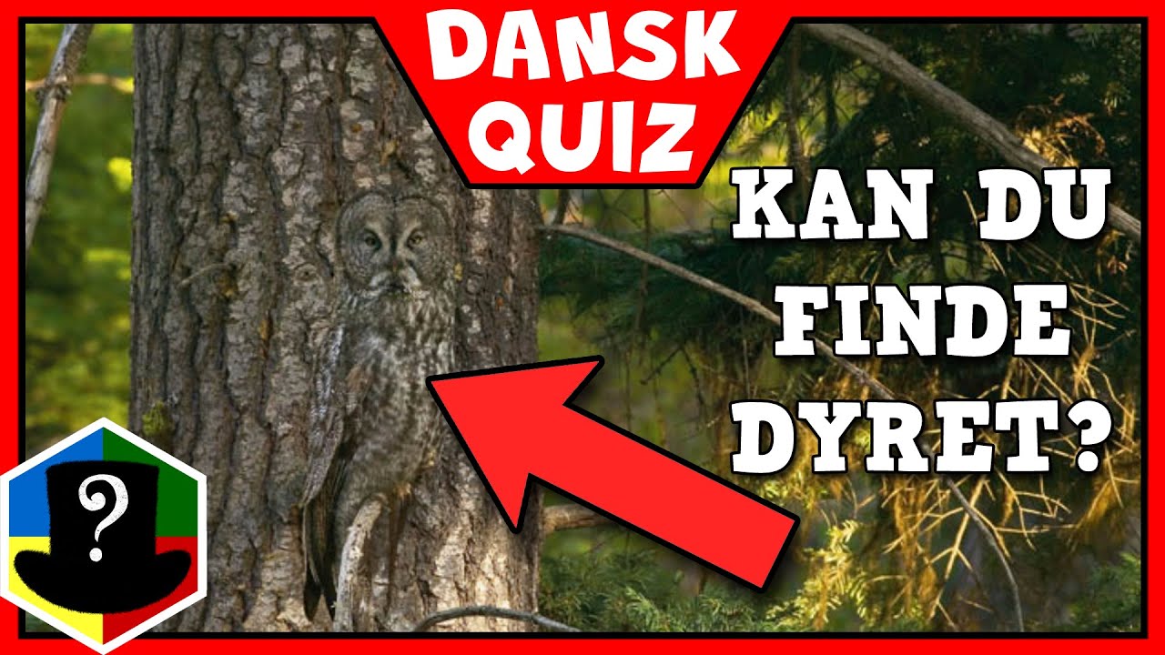 Er Du Klog Nok Til At Finde Dyret? - Dansk Quiz