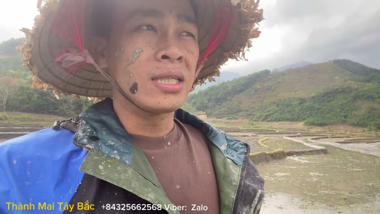 🔴Nỗi Buồn Của Thành Mai Tây Mai. Trước khi Gặp Quái Vật Ngoài Cánh Đồng Ruộng !!!