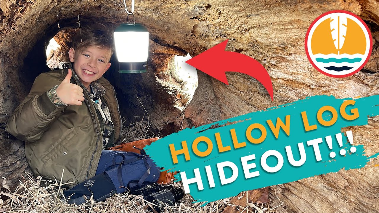 Spying on animals in a Hollow Log Hideout!