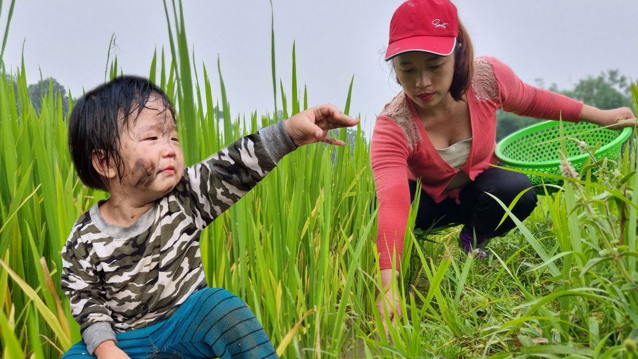 Did the homeless girl get help from the woman harvesting snails in the field?