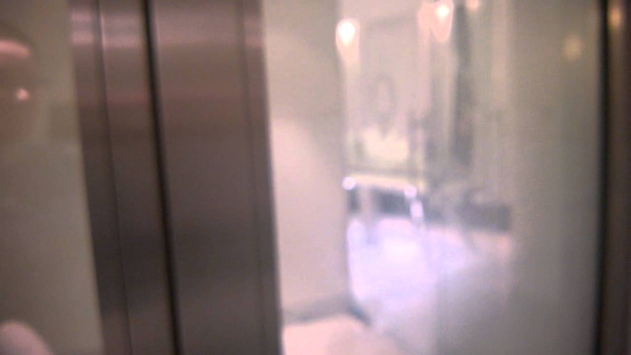 Belga Queen toilet