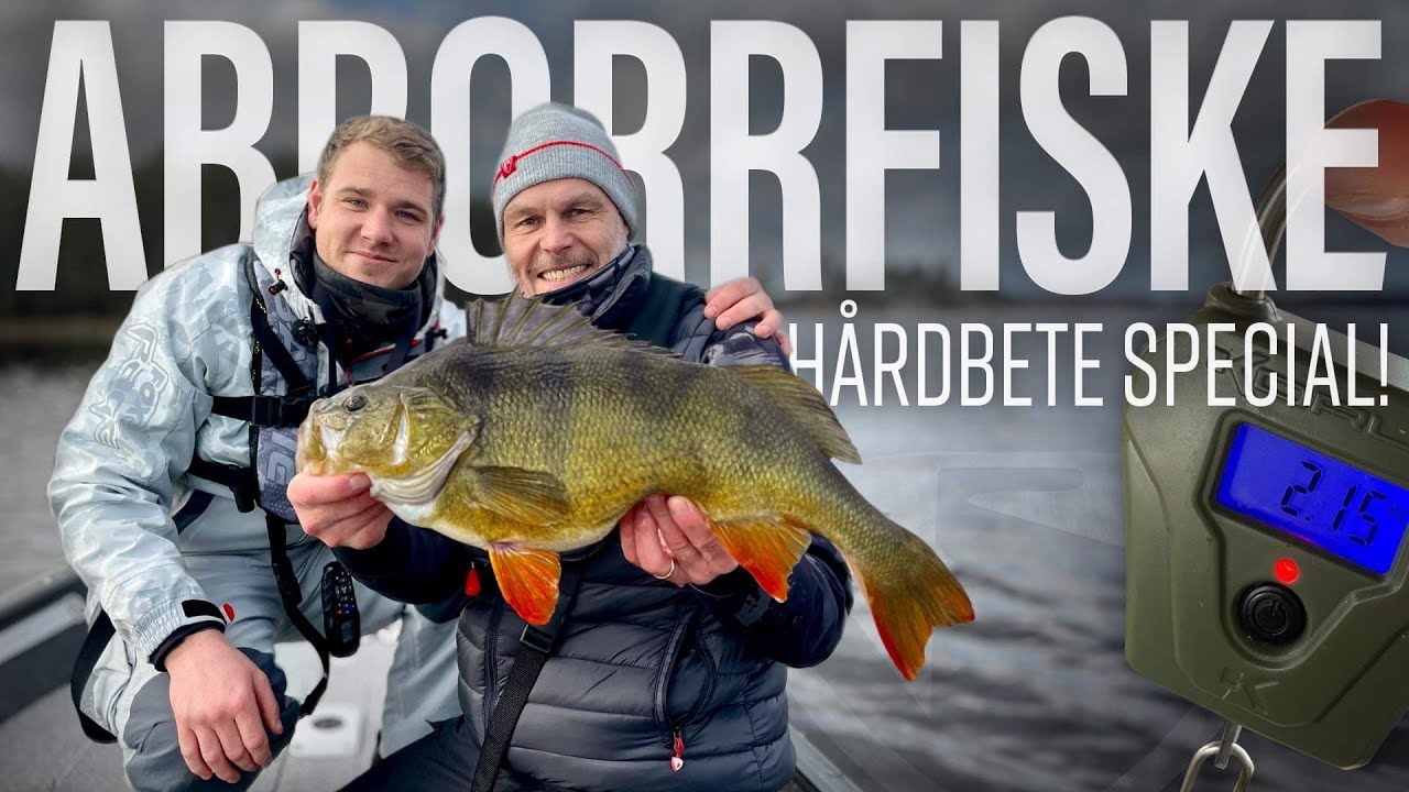 Vårfiske efter abborre - Så fiskar du Crankbaits.