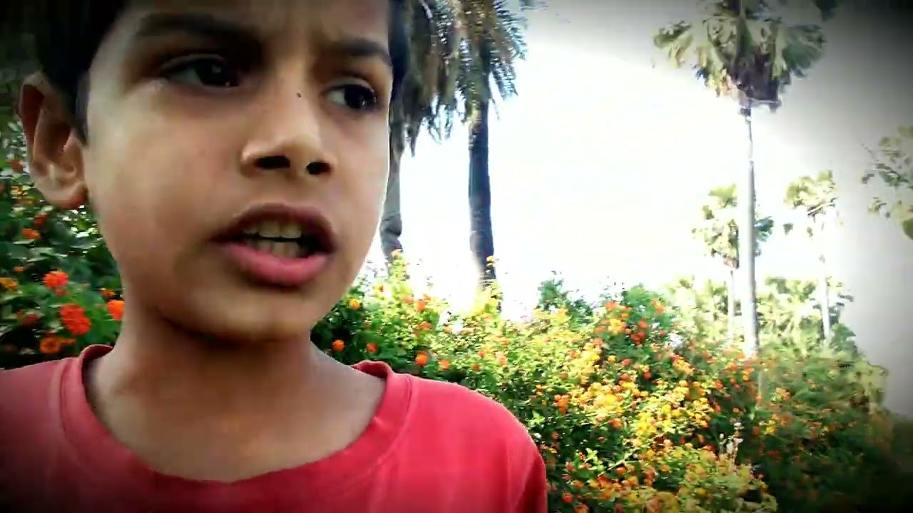 #minivlog @anand_vlogger_2m 