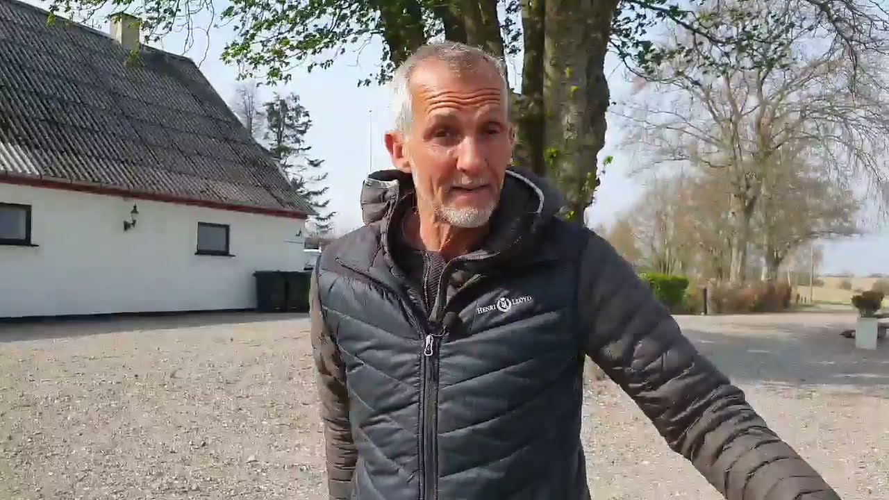 STOP DIN HUND I AT TRÆKKE  PÅ 2 MIN I onlinehund.dk 🐾