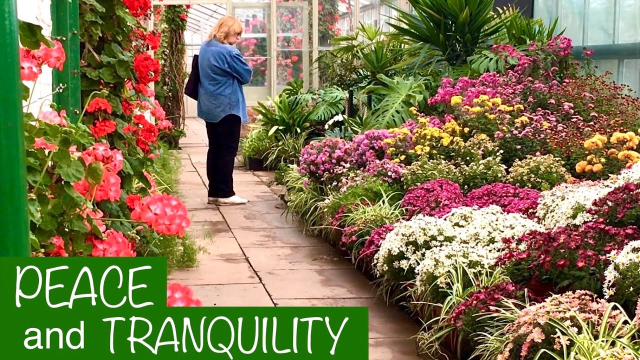 PEACE AND TRANQUILLITY AT TEMPLE NEWSAM HISTORIC WALLED GARDEN HOTHOUSE | SIT BACK SUNDAYS