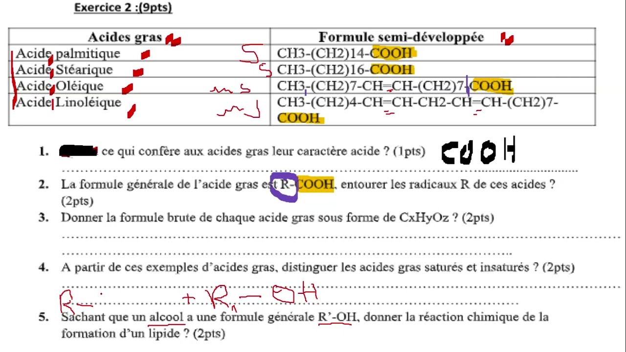 contrôle continue1 les échanges gazeux chlorophyllienne et production de la matière organique