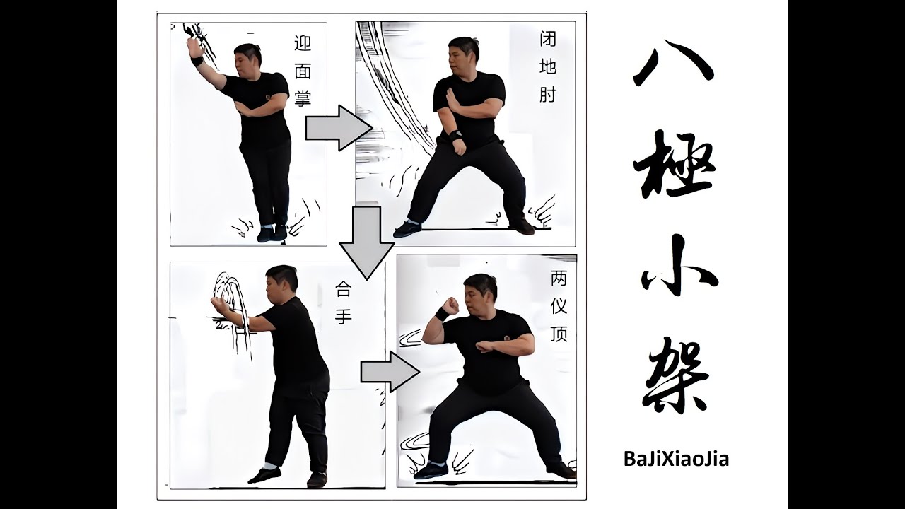 What if Baji XiaoJia Form application had more takedown part 2 - 八极小架 - Decoding Taolu Form