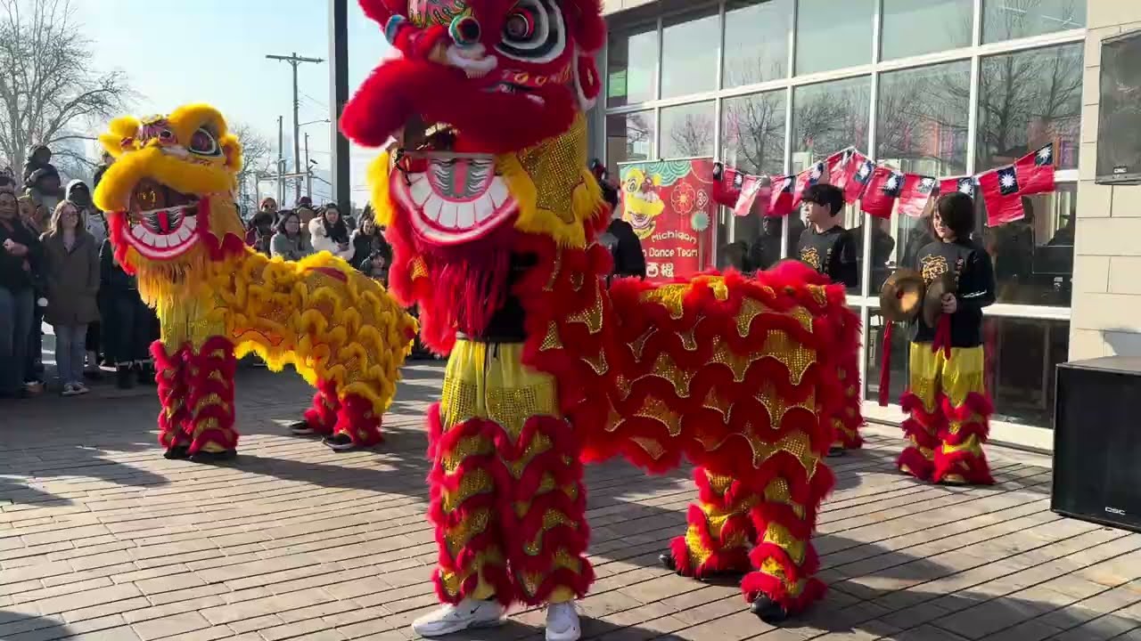 Michigan Lion Dance - Happy Lunar New Year 🧧 2026