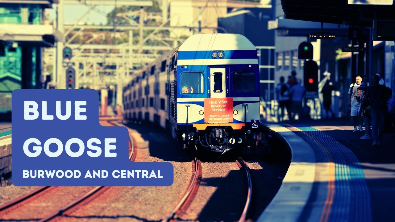 Sydney Trains Mania | Blue Goose V set- Central and Burwood