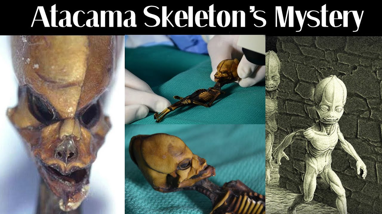 Mystery of The Alien Atacama Skeleton Explained