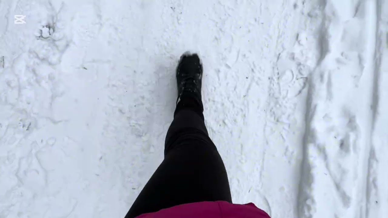Zimní video❄️🥶